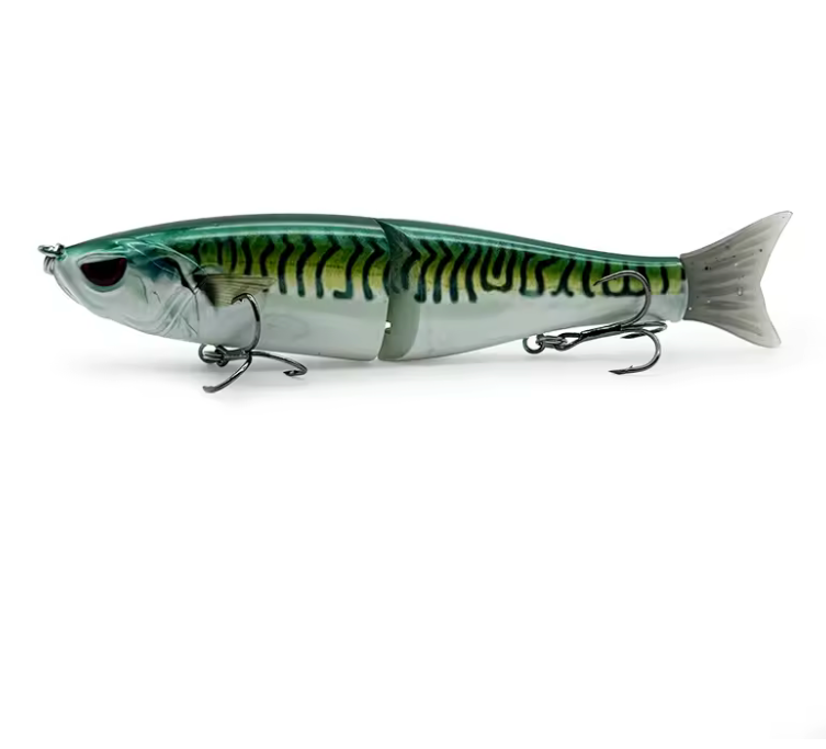 Emerald Mackerel