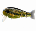 Baby Bass Wake Bait Plus